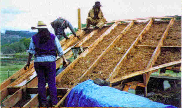 Cob Roof