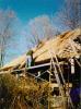 Thatch #1