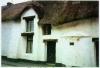 CCC: devon2.jpg