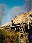 Thatch #1